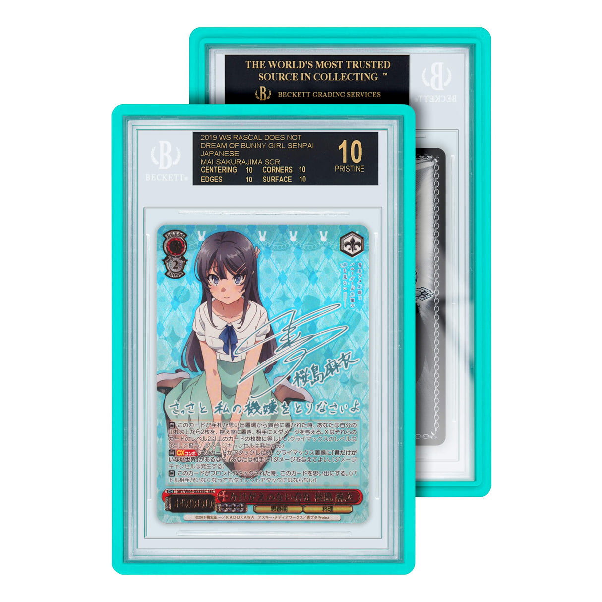 Standard Case (BGS)