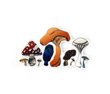 Mushrooms in color 3” & 4” stickers