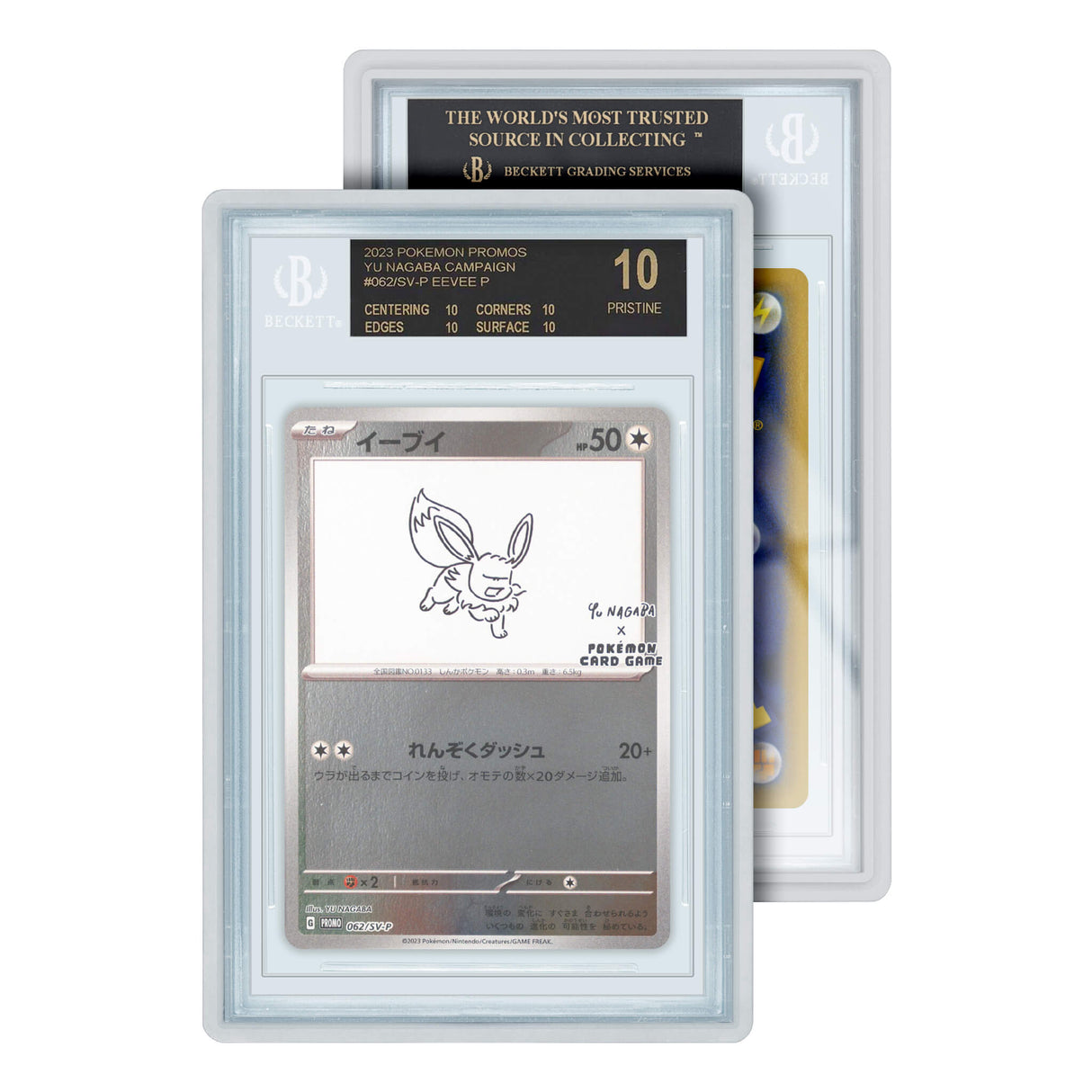 Standard Case (BGS)