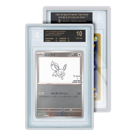 Standard Case (BGS)