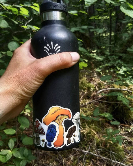 Mushrooms in color 3” & 4” stickers